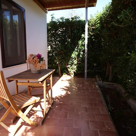 Giardino Dell'Impossibile Di Antonino Campo Leilighet Favignana Eksteriør bilde