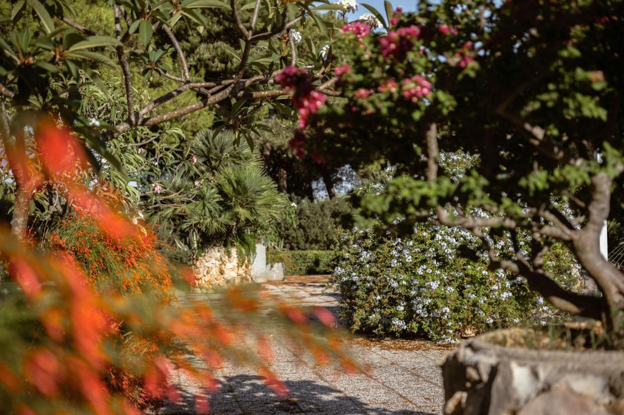 Giardino Dell'Impossibile Di Antonino Campo Leilighet Favignana Eksteriør bilde