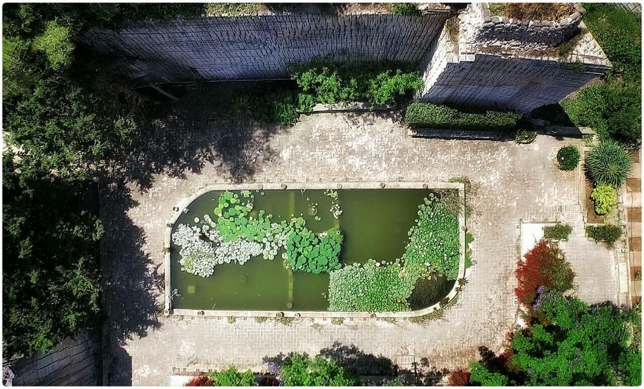 Giardino Dell'Impossibile Di Antonino Campo Leilighet Favignana Eksteriør bilde